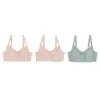 บีมี เซตเสื้อชั้นในแต่งลูกไม้ B'me Daisy Bra  3 ตัว 2 สี (สีเนื้อ/เขียว)